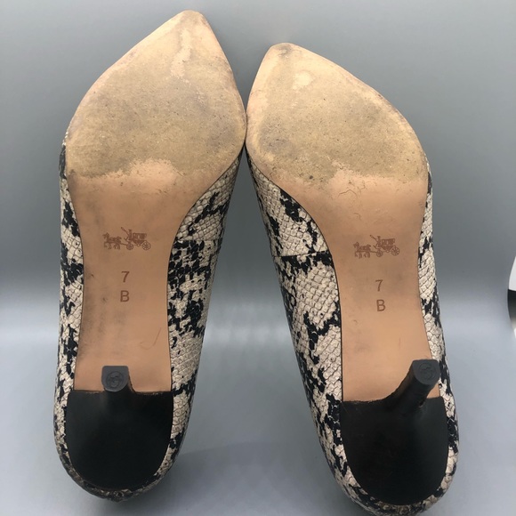 coach bowery pointed toe pumps